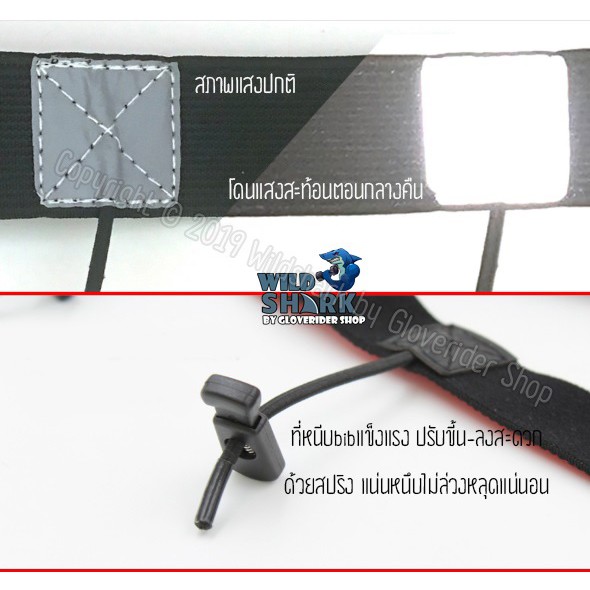 สายคาดเอวติดบิบ-ติดเบอร์วิ่ง-wildshark-เข็มขัดติดเบอร์วิ่งถูกที่สุด