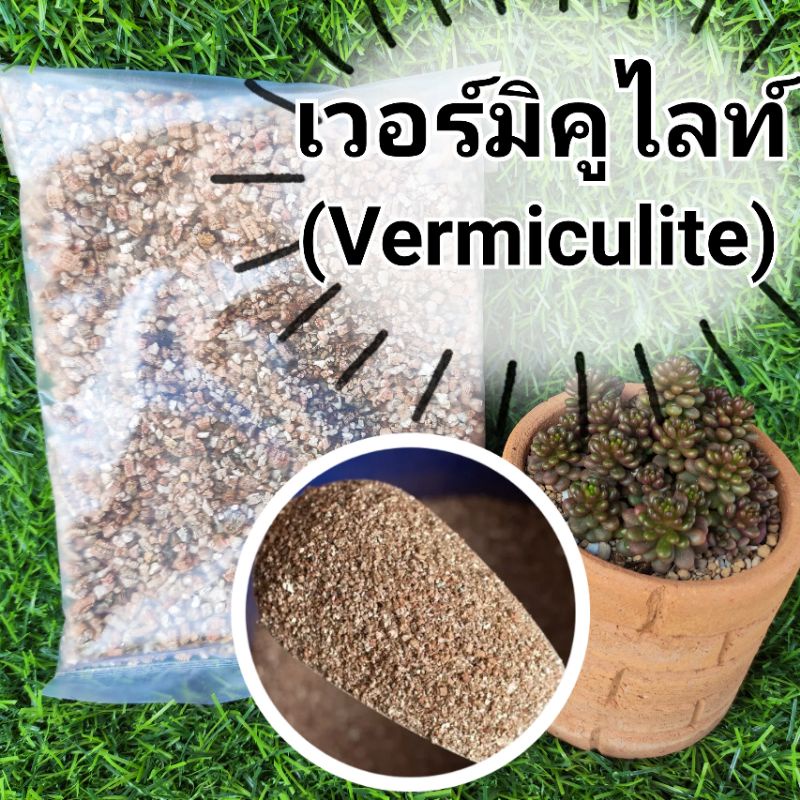 8-บาท-เวอร์มิคูไลท์-vermiculite