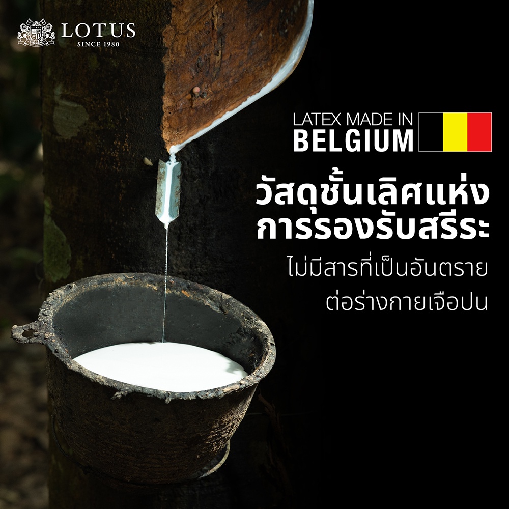 มุมมองเพิ่มเติมเกี่ยวกับ LOTUS ที่นอนยางพารา ลดอาการปวดหลัง Latex Made In Belgium สัมผัสนุ่ม แน่น กระจายแรงกดทับ ส่งฟรี