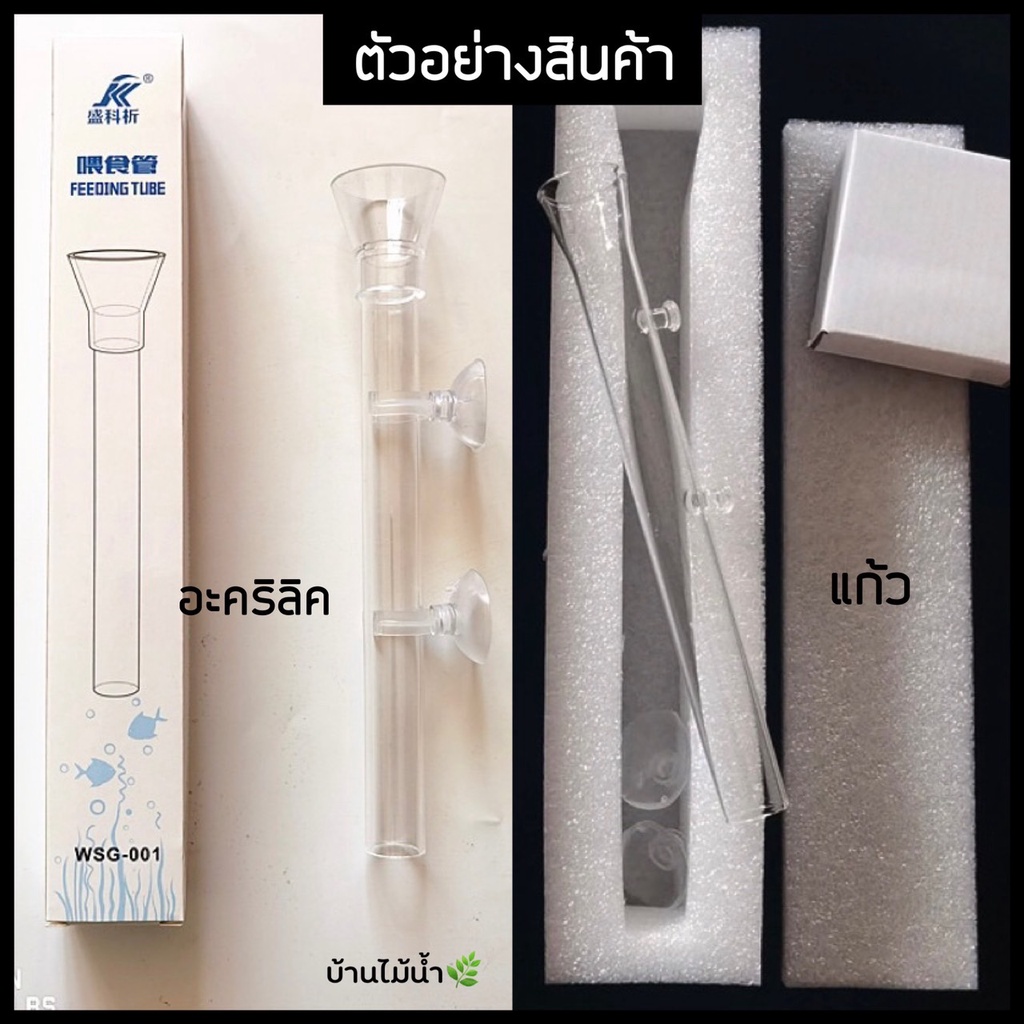 ท่อให้อาหารกุ้ง-หลอดให้อาหารกุ้ง-จานอาหารกุ้ง-shrimp-feeding-food-tube-suction-cup-บ้านไม้น้ำ