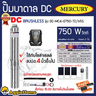 MERCURY บาดาล รุ่น DC-MC4-0750-72/65S ท่อออก2นิ้ว 750 วัตต์ (ลงบ่อ4นิ้ว) มอเตอร์บัตเลส/BRUSHLESS