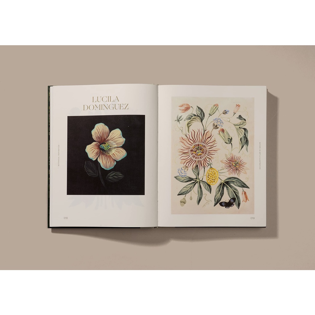 หนังสือภาษาอังกฤษ-botanical-inspiration-nature-in-art-and-illustration