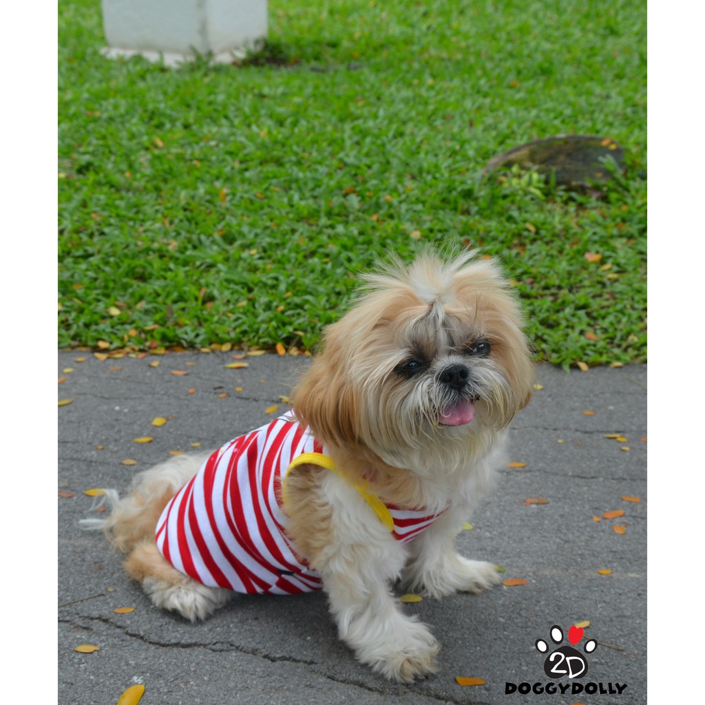 pet-clothes-doggydolly-เสื้อยืด-ชุดหมาอ้วน-เฟร้น-ปั๊ก-บีเกิ้ล-บลูด็อก-เสื้อผ้าสุนัข-เสื้อหมา-หมาอวบ-fp-t624