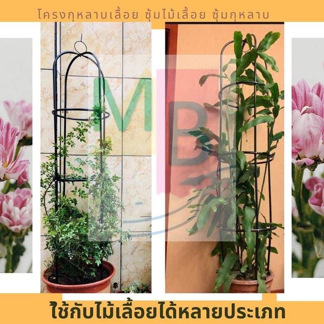 โครงซุ้มกุหลาบ-ขนาด-180-cm-โครงเหล็กไม้เลื้อย-มี-3-แบบให้เลือก-ซุ้มไม้เลื้อย-โครงไม้เลื้อย-ซุ้มงานแต่ง-ซุ้มประตู