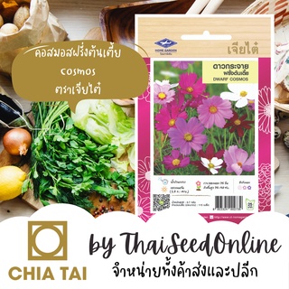 ภาพขนาดย่อของภาพหน้าปกสินค้าCTFW เมล็ดพันธุ์ดอกไม้ ดาวกระจายฝรั่งต้นเตี้ย ตราเจียไต๋ Dwarf Cosmos เมล็ดดอกไม้ คอสมอส Cosmos จากร้าน thaiseedonline บน Shopee