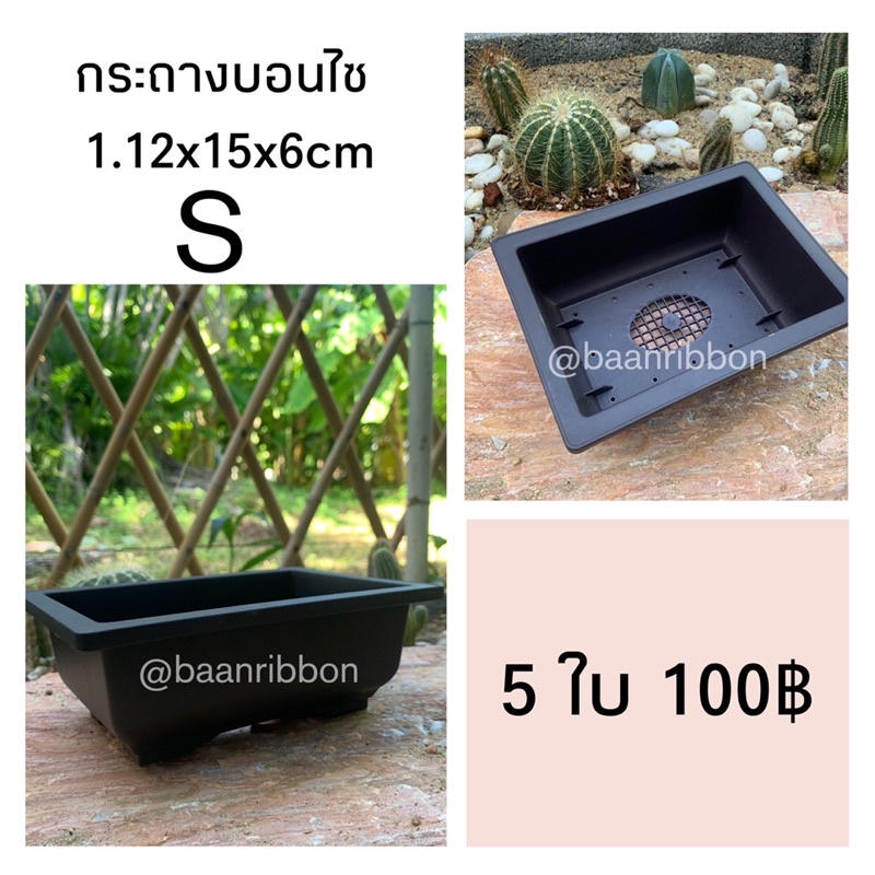 กระถางบอนไซ-เนื้อหนา-ทนทาน-ราคาส่ง