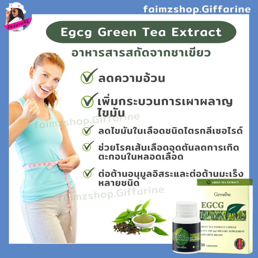 egcg-green-tea-giffarine-ส่งฟรี-สารสกัดจากชาเขียว-ชาเขียว-อีจีซีจี-กิฟฟารีน-อาหารเสริมกิฟฟารีน