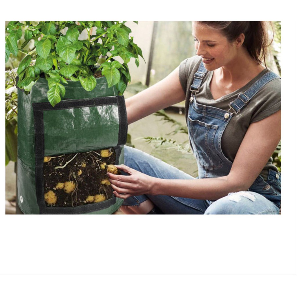 ภาพหน้าปกสินค้าถุงปุ๋ยหมักอินทรีย์ ในถุง PE สำหรับปลูกพืช ผัก ผลไม้. 8045 จากร้าน amanlii บน Shopee