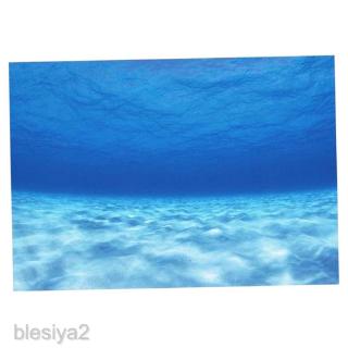 6 Size Fish Tank Underwater Seawater Picture Aquarium Background Poster