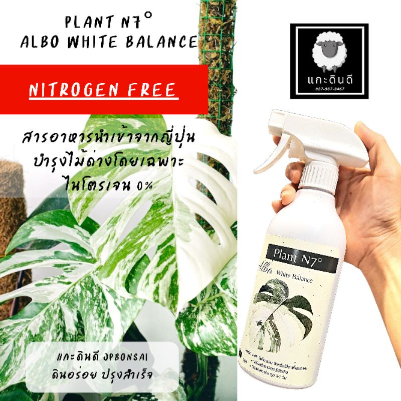 ภาพหน้าปกสินค้าPlant N7 Albo White balance 500 ml.Nitrogen Free สำหรับไม้ด่างโดยเฉพาะ 
สารอาหารนำเข้าจากญี่ปุ่น
