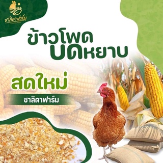 ข้าวโพดเลี้ยงสัตว์ ขนาด10กก ข้าวโพดเลี้ยงไก่ ข้าวโพดสัตว์ ข้าวโพดสัตว์บด ข้าวโพดบด ข้าวโพดบดหยาบ ข้าวโพด สด ใหม่