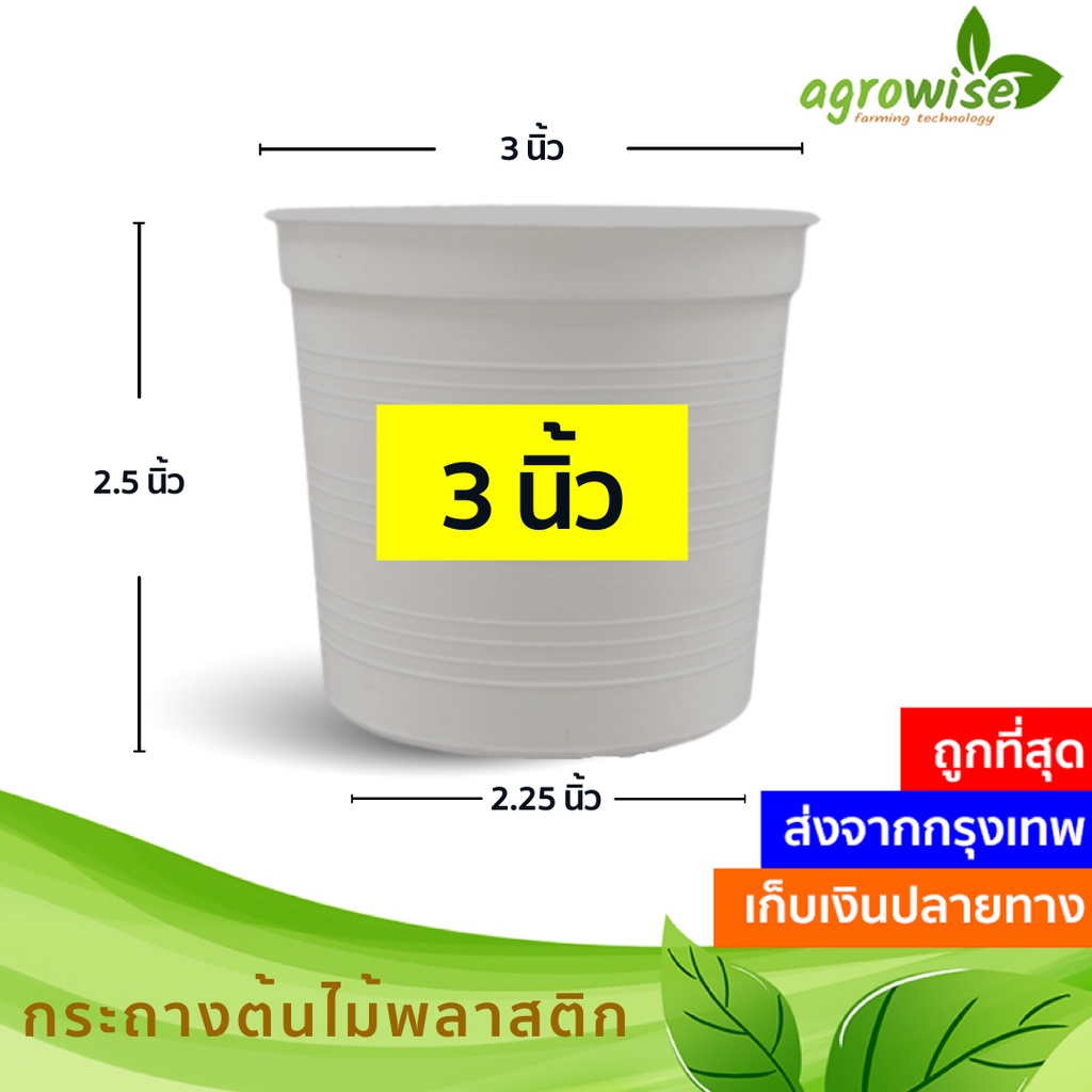 กระถางต้นไม้-กระถางสีขาว-กระถางขาว-กระถางต้นไม้พลาสติก-3-4-6-8-10-12-นิ้ว-สีขาว-สีอิฐ