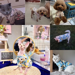 ภาพขนาดย่อของภาพหน้าปกสินค้าเสื้อแมว เสื้อหมา เสื้อผ้าสัตว์เลี้ยง (พร้อมส่งจากไทย) จากร้าน mosprasoppurk บน Shopee