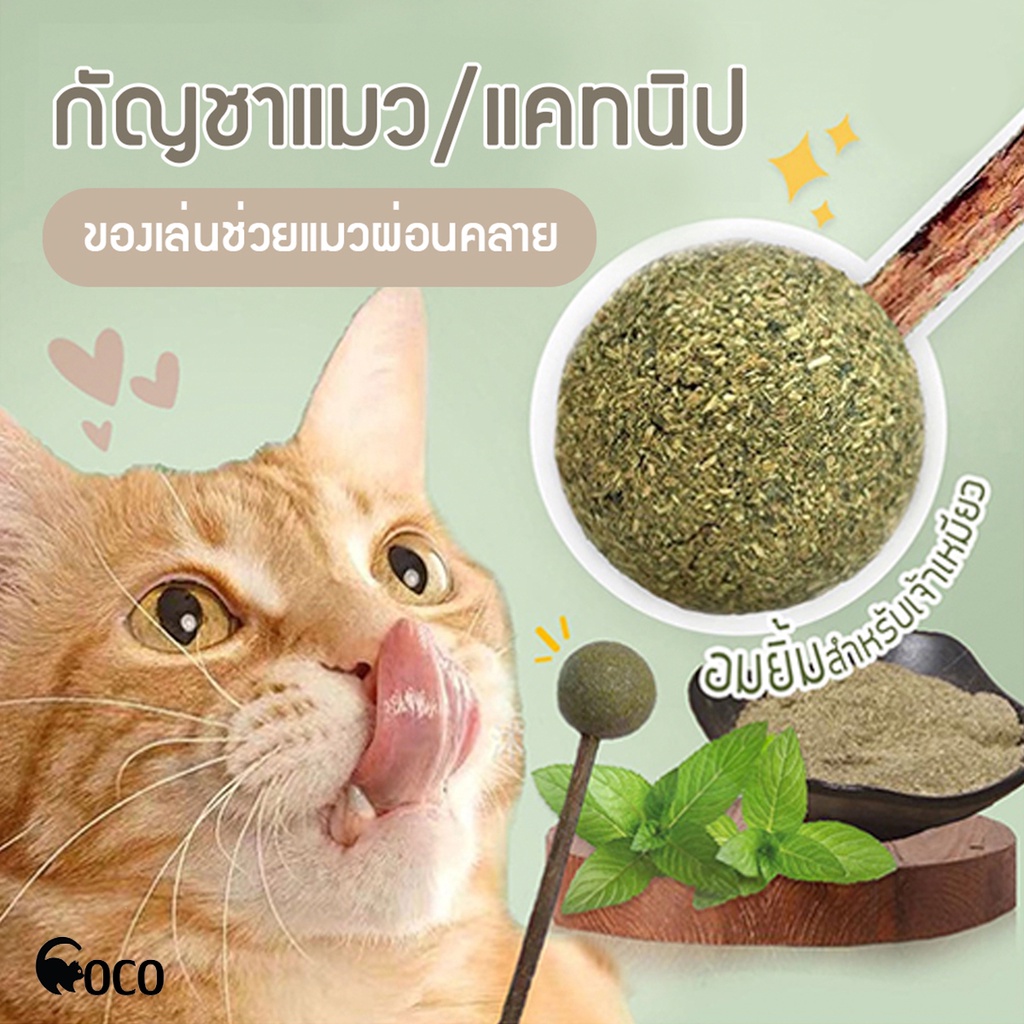 coco-pet-แคทนิปบอล-กัญชาแมว-กัญชาบอล-ลูกอมน้องแมว-ขนมแมวบอล-สมุนไพรแมว-แคทนิป-หญ้าแมว