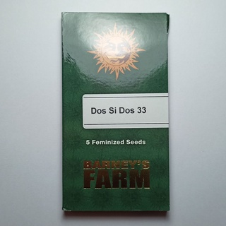 Barneys farm "Do Si Dos 33" 5 feminized cannabis seeds