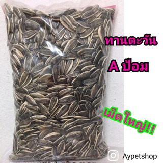 เมล็ดทานตะวัน Aป้อม อาหารนกแก้ว (500g)