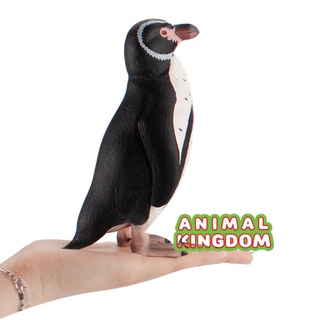 Animal Kingdom - โมเดลสัตว์ นกเพนกวิน กาลาปากอส ขนาด 16.00 CM (จากสงขลา)