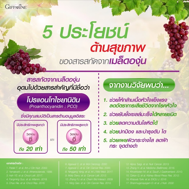 เกรปซีอี-แมกซ์-สารสกัดจากเมล็ดองุ่นเข้มข้น-2-5-เท่า-กิฟฟารีน-ต้านอนุมูลอิสระ-ชะลอวัย-เข้มข้นขึ้น-2-5-เท่า