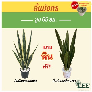 (ต้นไม้มงคล) ต้นลิ้นมังกรประดิษฐ์ พร้อมกระถางธรรมดา สูง 65 ซม. #ต้นไม้ปลอมแต่งบ้าน Leeartplants