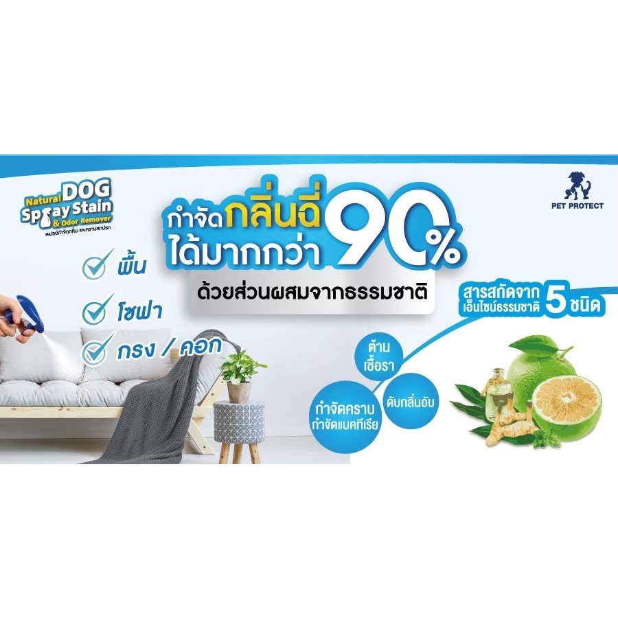 กำจัดคราบใน-10-นาที-pet-protect-สเปรย์กำจัดกลิ่นและคราบสกปรก-กลิ่นฉี่-กลิ่นเหม็น-500-ml