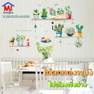 สินค้า สติกเกอร์ติดผนัง ลายกระบองเพชร สติกเกอร์DIY สำหรับตกแต่งบ้าน ติดเองได้ง่าย ขนาด70*100 HM71007