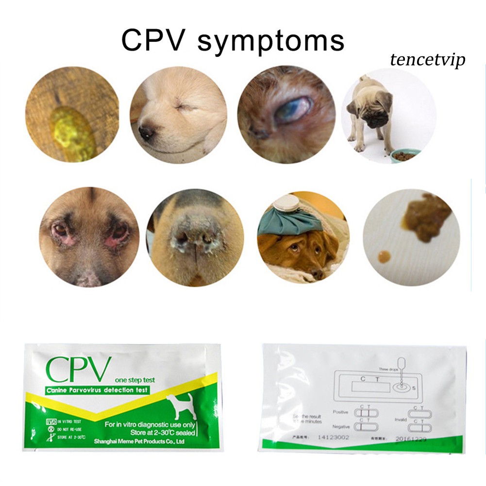 ภาพหน้าปกสินค้า( Vip ) เครื่องมือทดสอบสุขภาพสัตว์เลี้ยงสุนัขแมว Cdv / Cpv Virus จากร้าน tencetvip.th บน Shopee