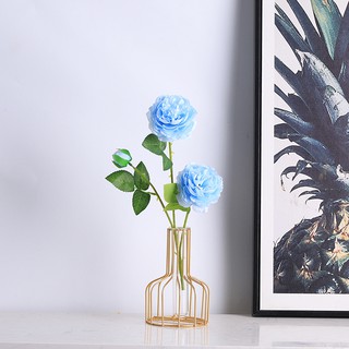 ภาพขนาดย่อของภาพหน้าปกสินค้าแจกันตกแต่งห้องนั่งเล่นโต๊ะตกแต่งดอกไม้แห้งดอกไม้ใส่ไฮโดรโปนิหัว Tube Vase Planter Iron glass test tube vase Nordic styl จากร้าน lifeisamaze บน Shopee ภาพที่ 4
