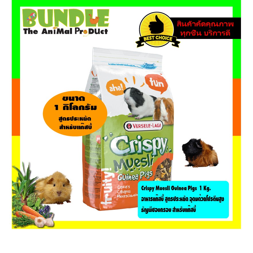 crispy-muesli-guinea-pigs-1-kg-อาหารแก๊สบี้-สูตรประหยัด-อุดมด้วยโปรตีนสูง-ธัญพืชอบกรอบ-สำหรับแก๊สบี้