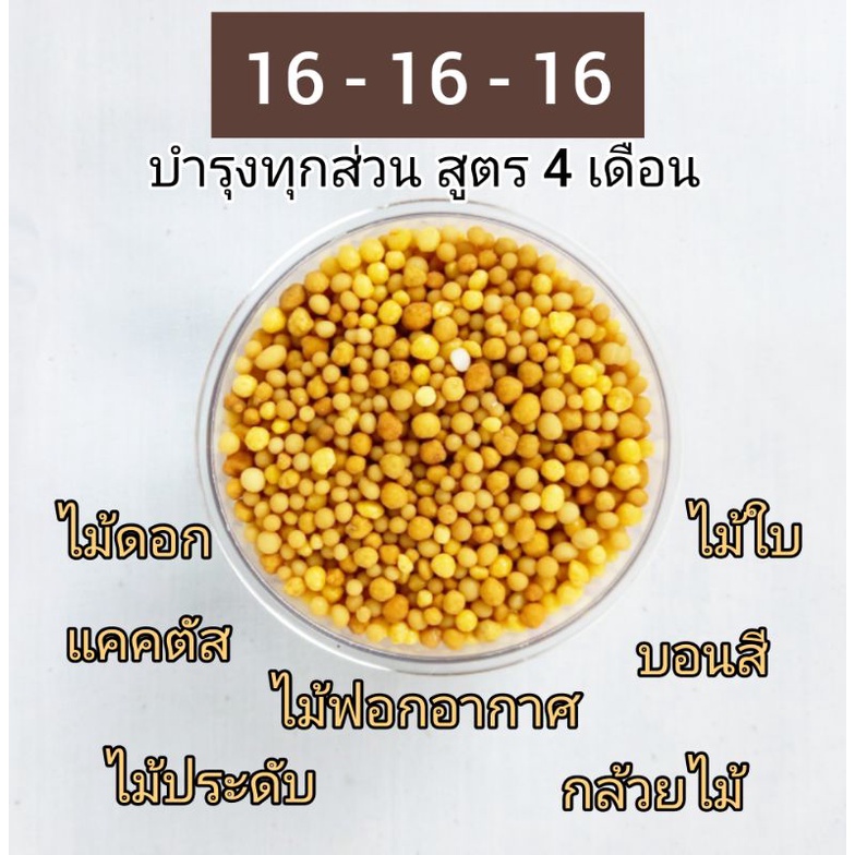 ปุ๋ยออสโมโคส-สูตร-16-16-16-ใช้ได้นาน-3-เดือน