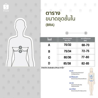 ภาพขนาดย่อของภาพหน้าปกสินค้า𝑩𝒓𝒂𝑩𝒓𝒂𝑩𝒓𝒂 ️  bra-117 บราถนอมทรง ไม่มีโครง ใสสบาย จากร้าน brabrabra.official บน Shopee