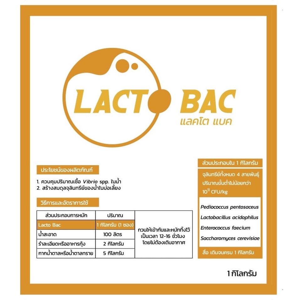 จุลินทรีย์-แลคโต-แบค-lacto-bac-แก้กุ้งเป็นขี้ขาว-มีจุลินทรีย์แลคโตบาซิลลัส-ช่วยเบียดเชื้อที่ไม่ดีออกไป