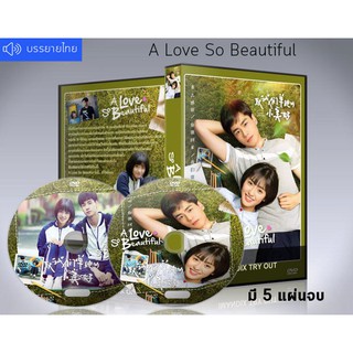 ซีรี่ย์จีน A Love So Beautiful รักนี้ยังงดงาม DVD 5 แผ่นจบ.