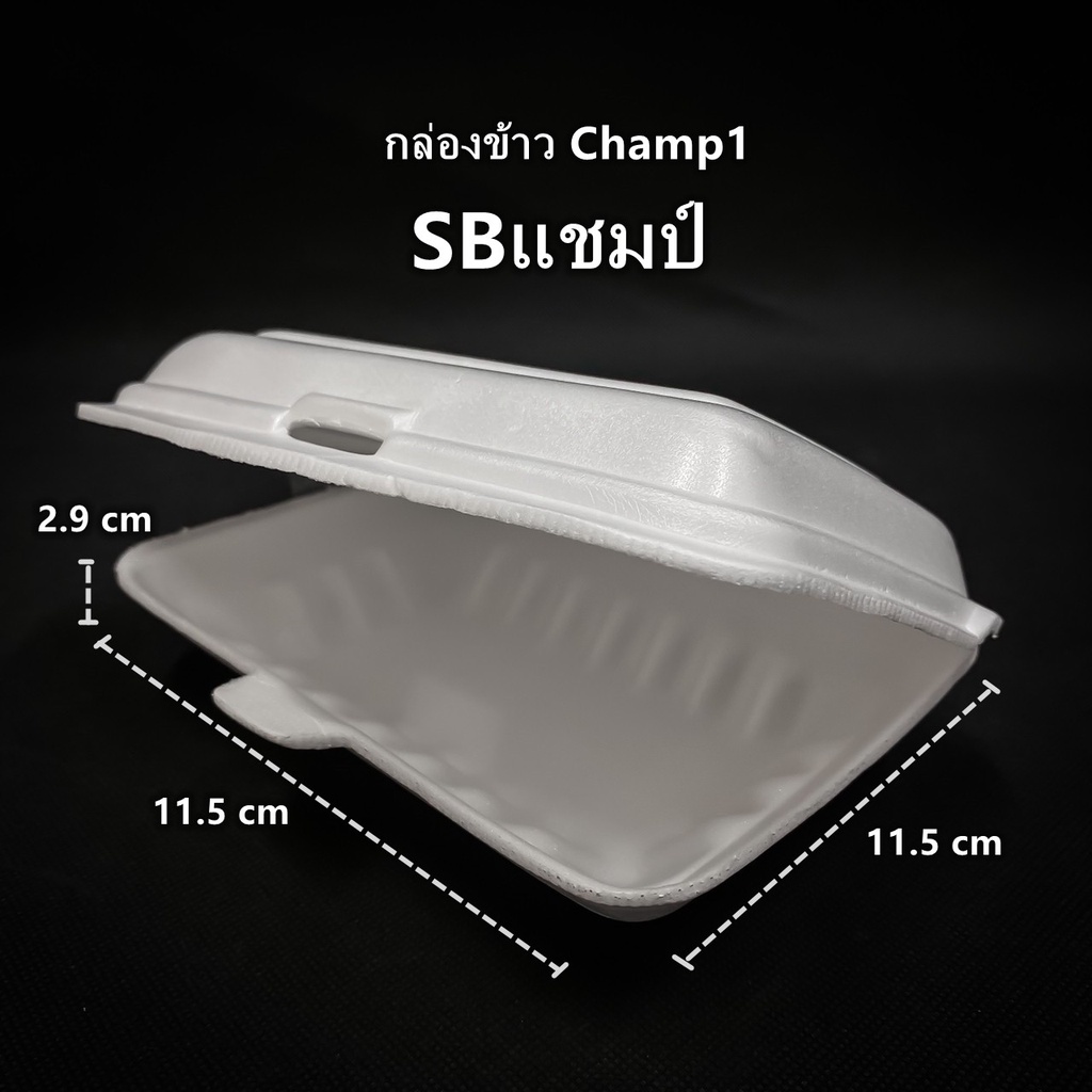 100ใบ-1แพ็ค-กล่องโฟมใส่อาหาร-กล่องโฟม-กล่องโฟมใส่ข้าว-โฟมบรรจุอาหาร