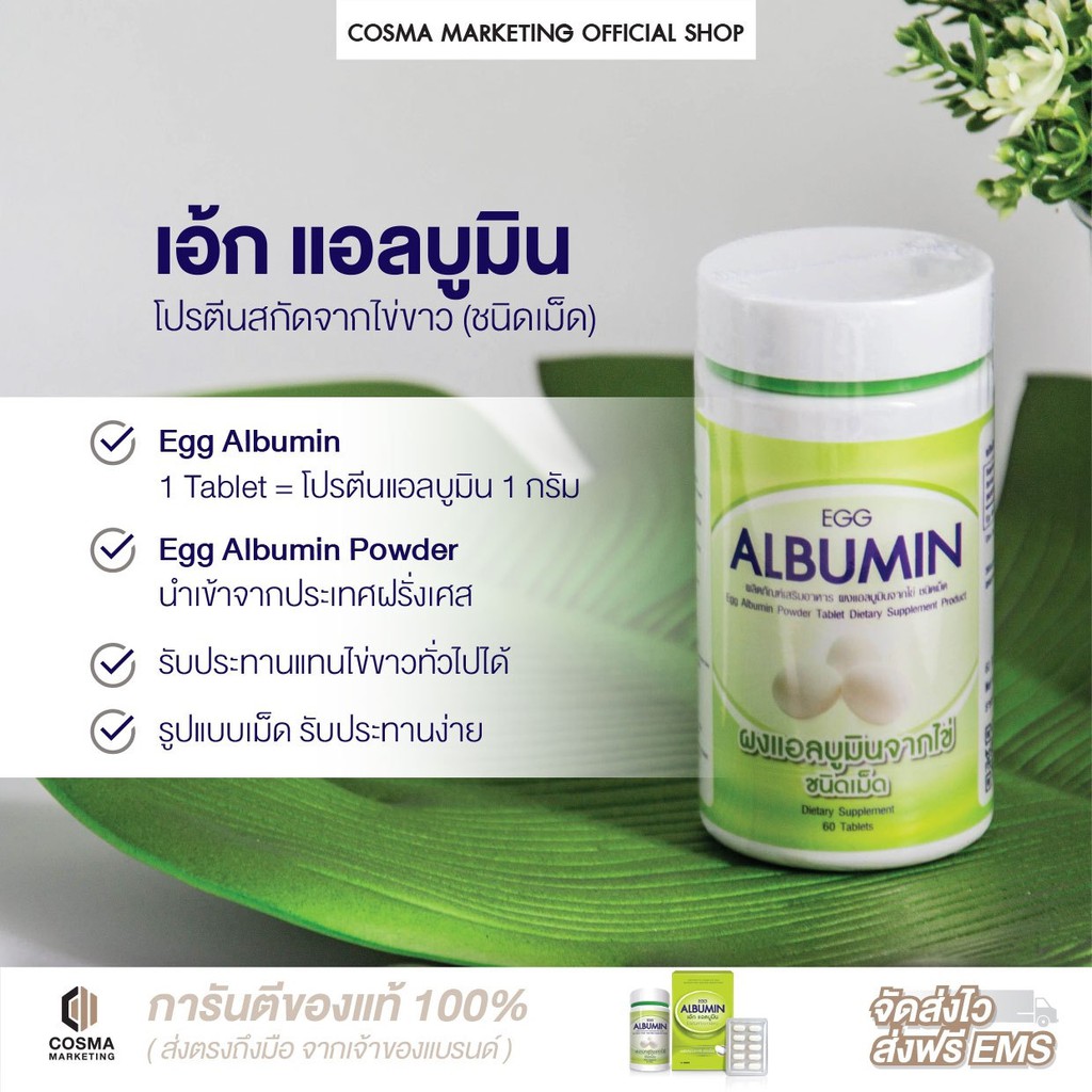 ภาพสินค้า(1 กระปุก แถมฟรี 3แผง ) ไข่ขาวเม็ด ไข่ขาว อัดเม็ด Egg albumin โปรตีน แอลบูมิน ราคา 380 บาท (ล็อตใหม่) cmktshop จากร้าน cosma_official บน Shopee ภาพที่ 6