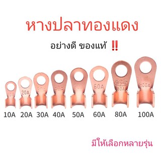 สินค้า หางปลาทองแดงแท้ ย้ำสายไฟ เกรดA  อย่างหนา มีให้เลือกหลายรุ่น แบ่งขาย