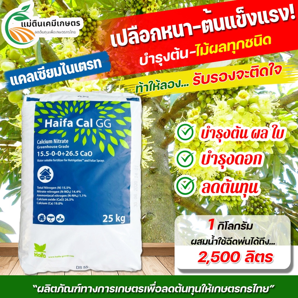 ปุ๋ย 15-0-0+26.5CaO แคลเซียมไนเตรท Haifa-CAL กระสอบใหญ่ ขนาด 25กิโลกรัม ...