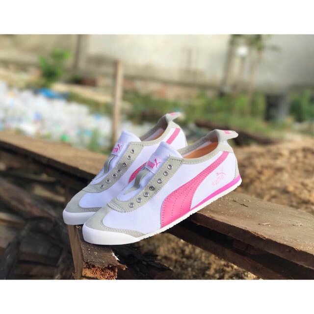เกรด-a-ขนาด-ปกติ-อวบ-1-size-36-45-ราคา-590-ส่งems