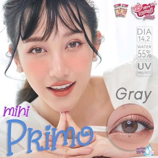 คอนแทคเลนส์ Kitty Kawaii Mini Primo(Gray,Brown) ค่าสายตา 0.00 ถึง -5.00