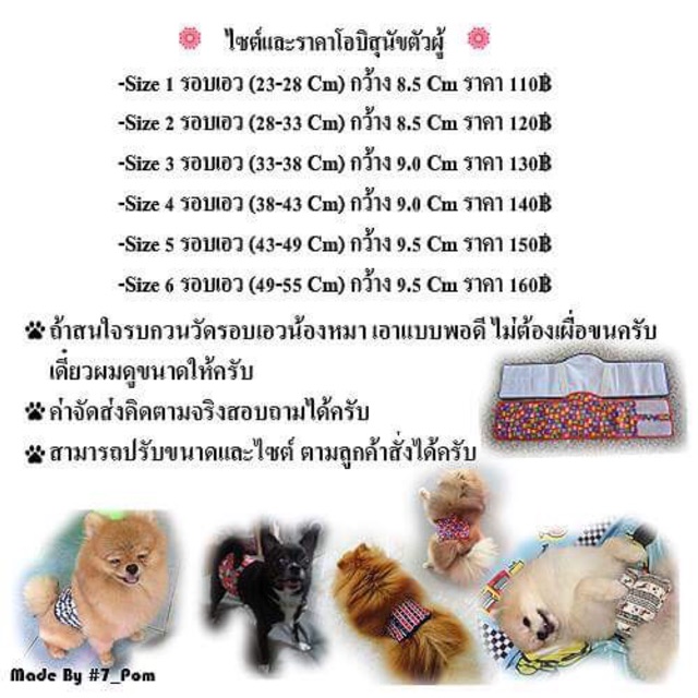 โอบิสุนัข-ลายบอล-สำหรับสุนัขตัวผู้