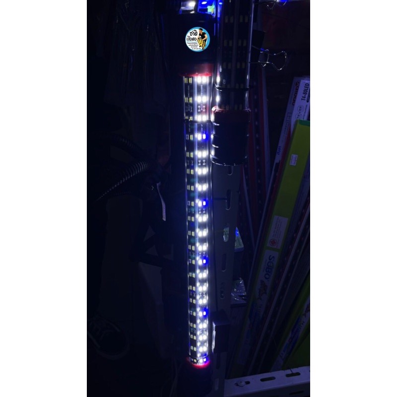 baoyule-led-lamp-หลอดไฟขาว-ฟ้า-t10-หลอด4แถวใช้สำหรับตู้ปลา-บ่อปลา-ขนาด-60-cm-ตู้-24-นิ้ว