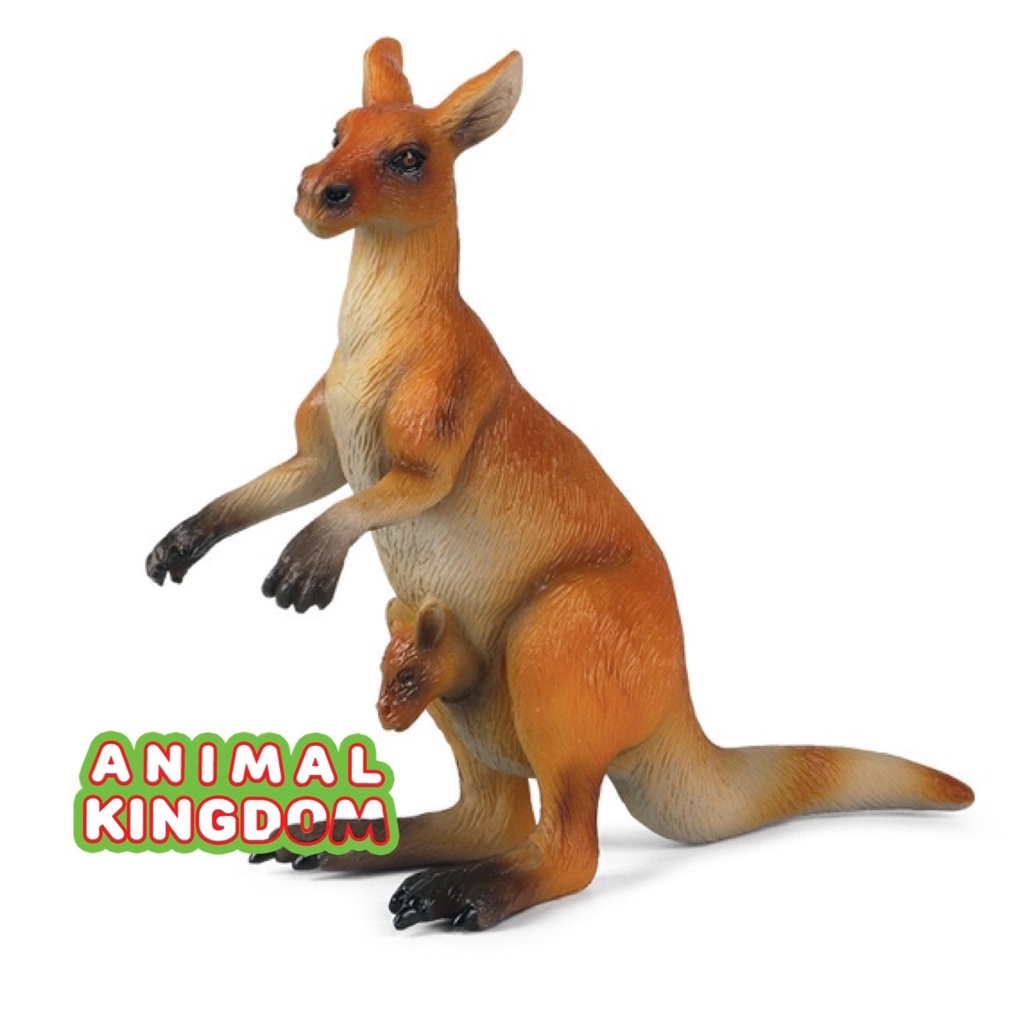 animal-kingdom-โมเดลสัตว์-จิงโจ้-ขนาด-14-00-cm-จากหาดใหญ่