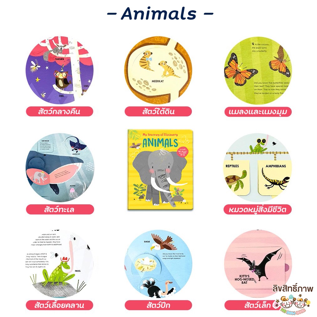 พร้อมส่ง-หนังสือ-interactive-ความรู้ทั่วไป-my-journey-of-discovery-animals-space