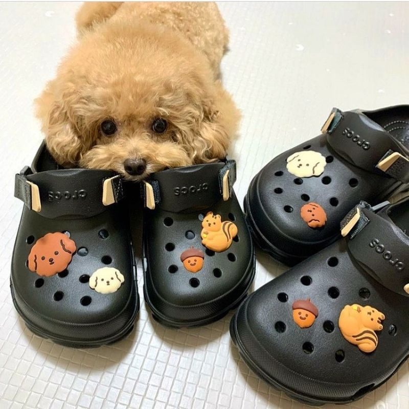 Crocs Jibbitz poodle Mill and