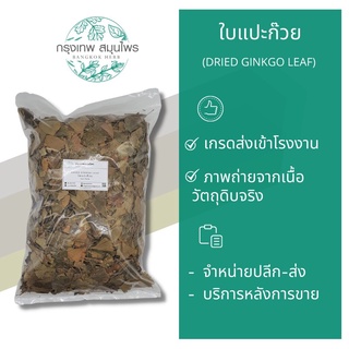 ใบแปะก๊วยอบแห้ง 1 กิโลกรัม Dried Ginkgo leaf ใบแปะก๊วย แปะก๊วย