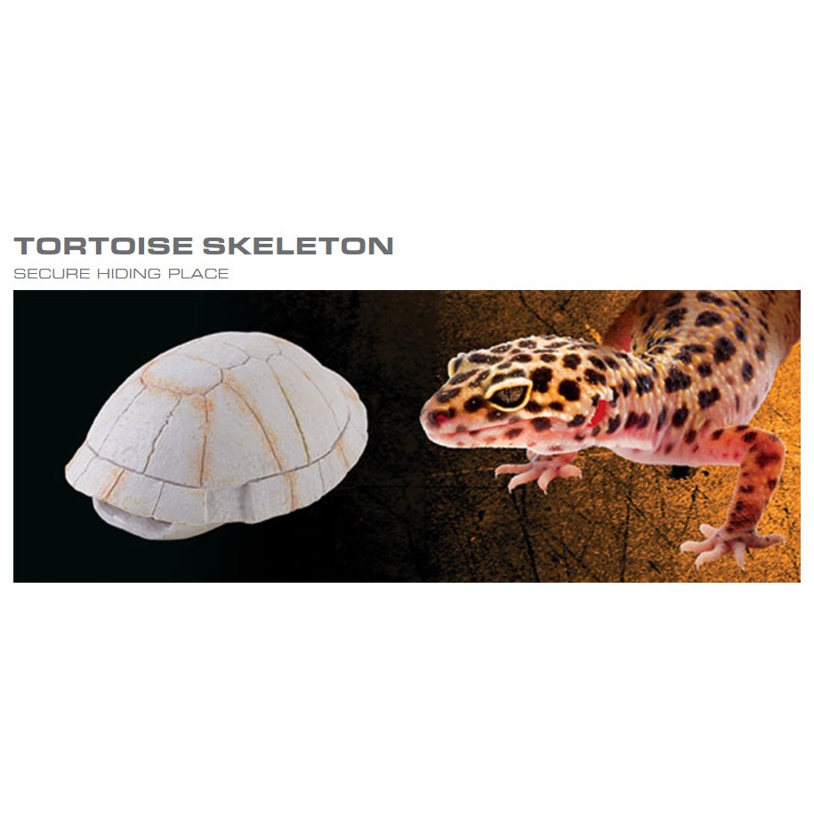 exo-terra-tortoise-skeleton-secure-hiding-place-ที่ซ่อนตัวทรงกระดองเต่า