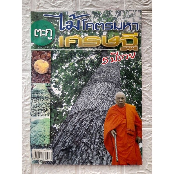 หนังสือเกษตรตะกูไม้โคตรมหาเศรษฐี-5-ปีรวย