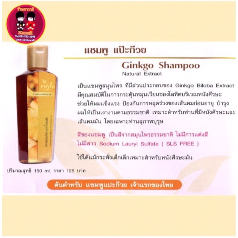 phyto-ฟายโต-แชมพู-สูตรแปะก๊วย