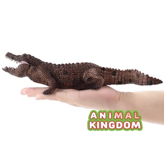 Animal Kingdom - โมเดลสัตว์ จระเข้ ม่วงหางดำ ขนาด 28.00 CM (จากสงขลา)