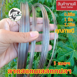 ลวดสแตนเลส 1 มิล ลวดสแตนเลส ลวดสแตนเลสตกปลา ลวดสแตนเลสทำกบกระโดด ลวดสแตนเลสทำบัสเบส ลวดสแตนเลสทำตะกร้อ 1 เมตร พร้อมส่ง