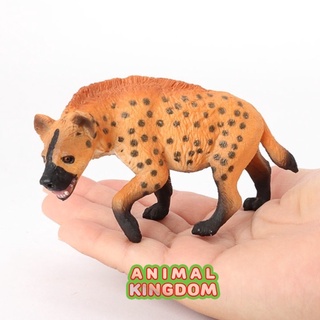 Animal Kingdom - โมเดลสัตว์ หมาป่า ไฮยีนา ส้ม ขนาด 11.00 CM (จากหาดใหญ่)